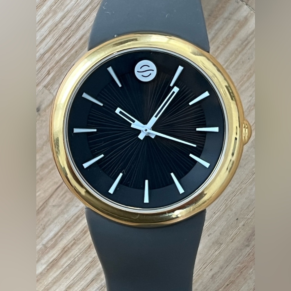 Fruitz by Philip Stein Natural Frequency Watch Black Dial Gold Case Gray Strap